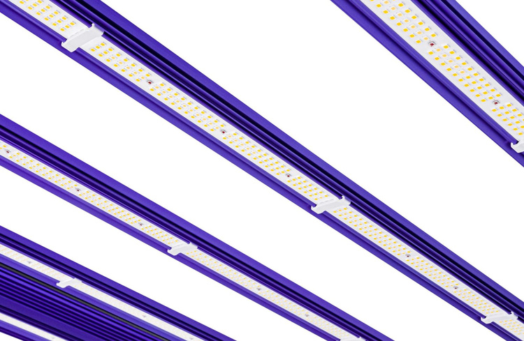 69b15e082e659dba73e6f85d0ef853f3