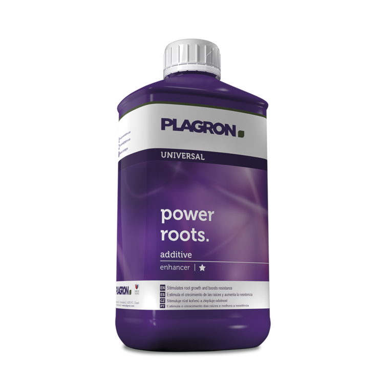 24d0ff669ae577ec878deaf734c92bcb