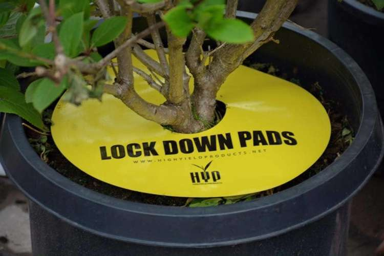 bc1279dd31b6debb320bbf9e499164a7