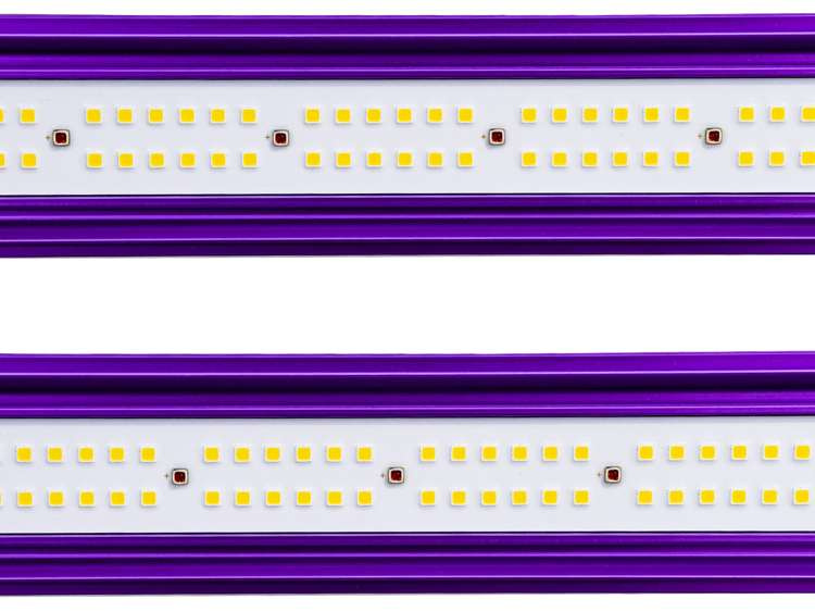 6b12d45179e19ddd95e4c22cc4d56550