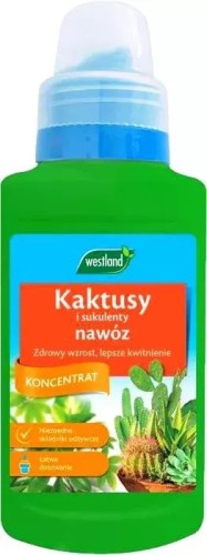 0cd1c75c2c47fc19f1892338bcd5833b