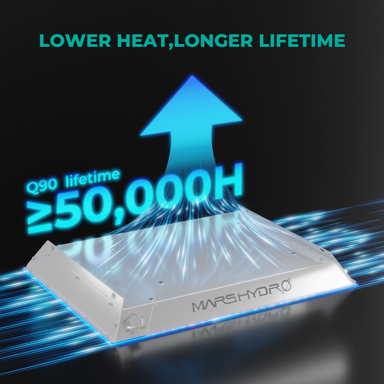 e3dad6938e0a577fd35926e9d2da92a2