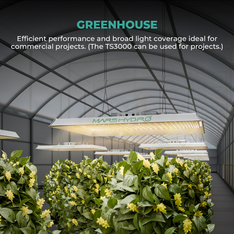 c528bfca9f188715893f8a457a66cc00