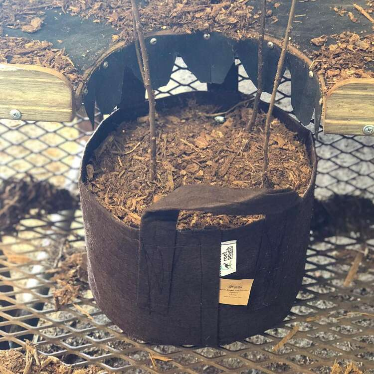 dccaacb854d0fd73ec90fdc6d074b0e3