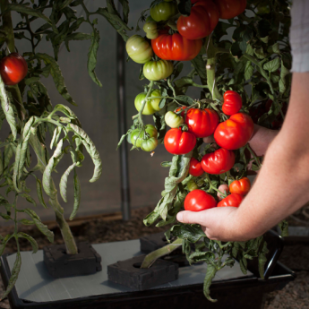 3207c339a38ae568c76acf8f7449ddfa