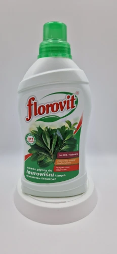 Laurowiśnie Przód (20260120_154945.jpg): Nawóz do laurowiśni i żywopłotów liściastych Florovit 1 kg przyspieszający zagęszczanie.
