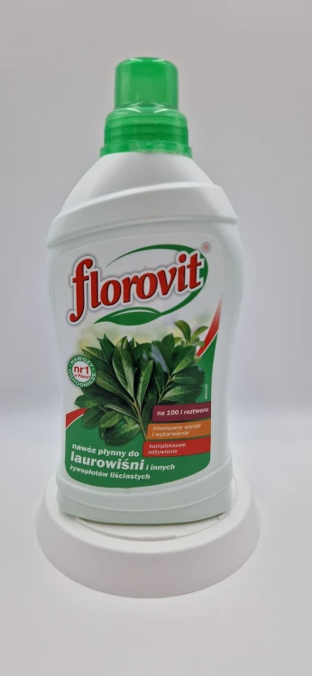 Laurowiśnie Przód (20260120_154945.jpg): Nawóz do laurowiśni i żywopłotów liściastych Florovit 1 kg przyspieszający zagęszczanie.