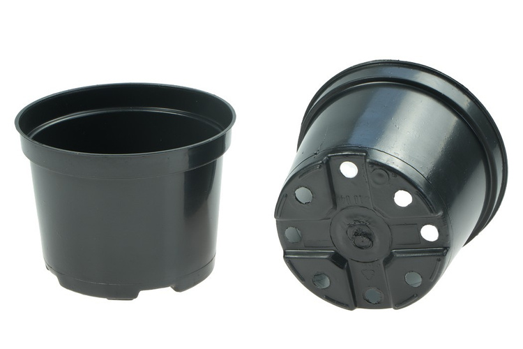 1ca58169293a802cabc4f05f28da49b7