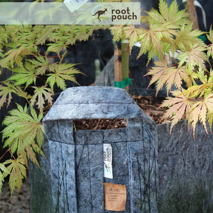 0906af564d6b3a058b474f276c93c776