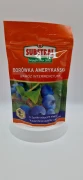 Specjalistyczny nawóz interwencyjny Substral Magiczna Siła do borówki amerykańskiej w opakowaniu 350 g.