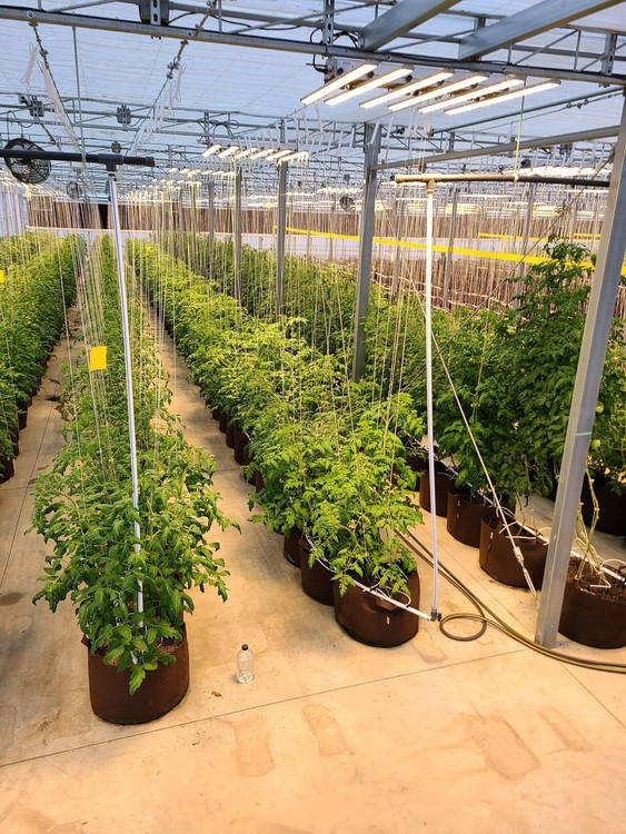 1ab42f39271e180627b649636791bacc