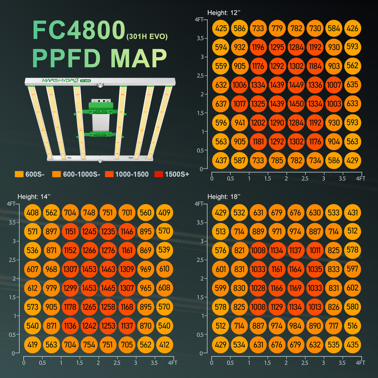 740f2ec8a276446ccd396d4010b62ff5