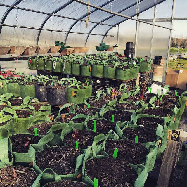 2ec589f2e58b53d2bef86da4eba285fe