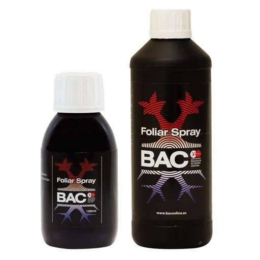 eae91ceb4c1e1a1ef6d8cbd4708430c1