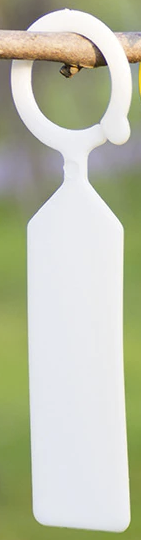 7baf77ca5169096f13959178e1551f87