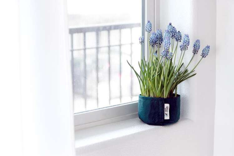 3f24c154b1e91ff712a46ff09621cdc9