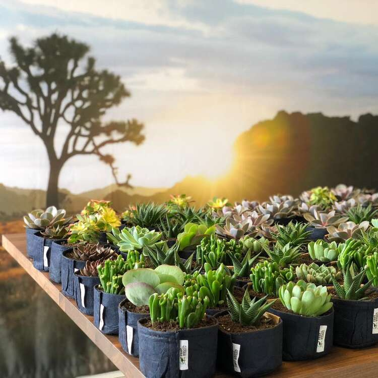 6291ab269cfd779c77fe294ccf08f92a