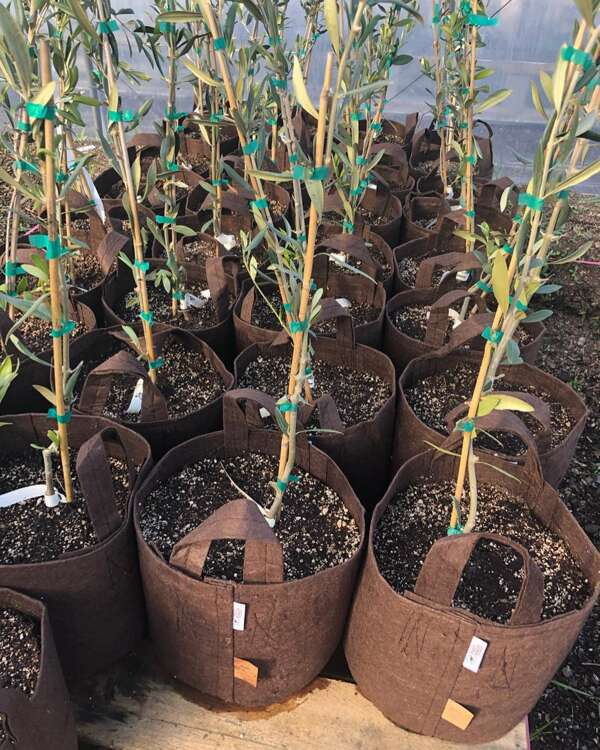 dcf136a5dfef18c6996d388ede759261
