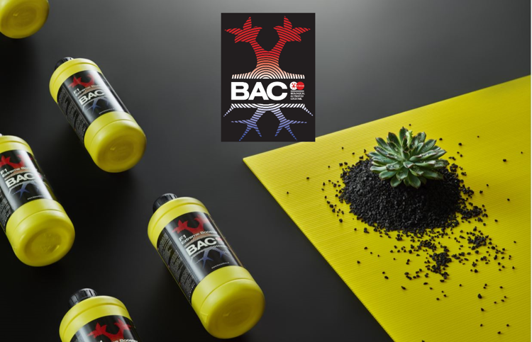399641f8279c6678a88c1695a74d27ab