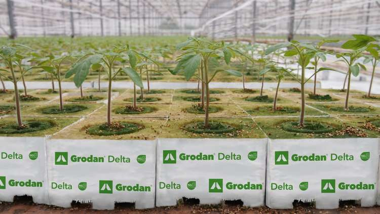 f22d00014633e8a68acec08ee4b19e8b