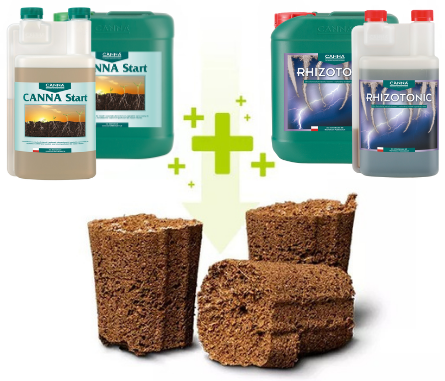 rootplugs zestaw.png