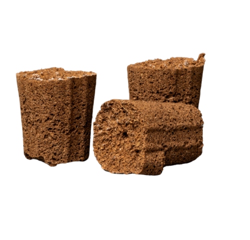 CANNA Rootplugs plugs.png
