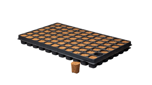 CANNA Rootplugs1.png