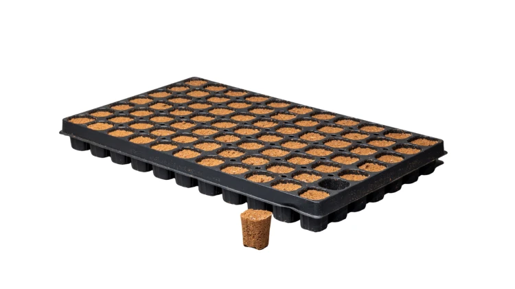 CANNA Rootplugs1.png