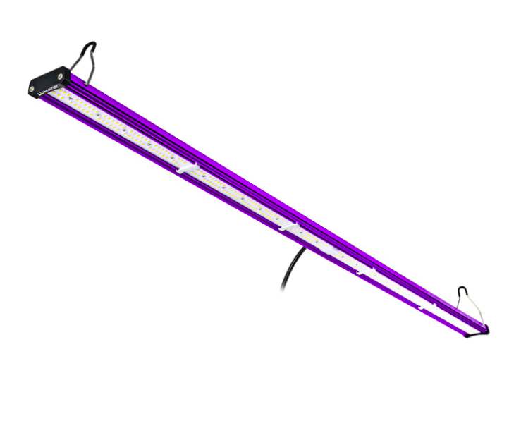 e9127b62e6e38adef736aa1005c6e74e