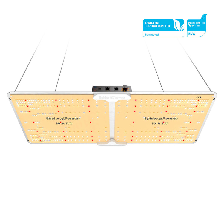 e44c3bb164c6f87db1b4aa004a5edab7