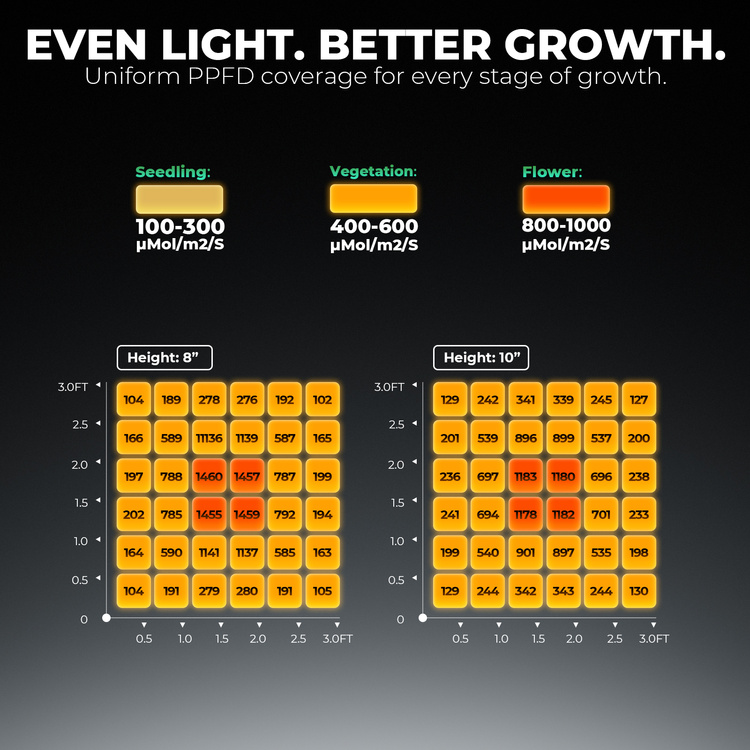 c7c3edfb3bf9ee0903252b95be25bc35