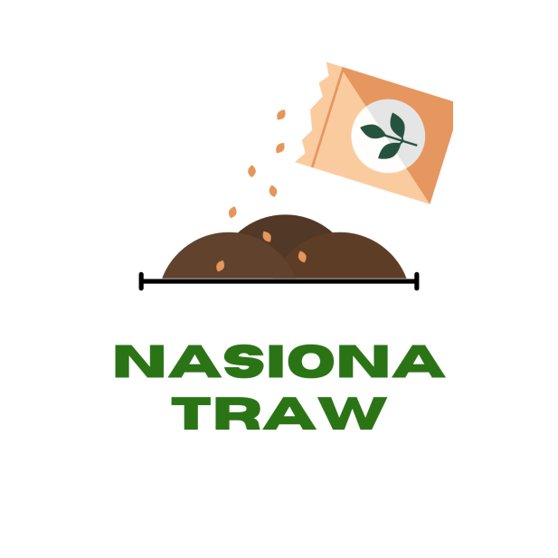 Nasiona Traw