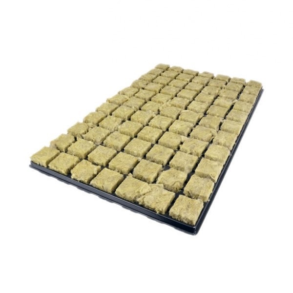 Taca do wysiewu nasion wełna mineralna 77 szt 35x35x40mm Grodan